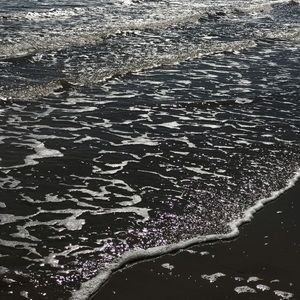 Meet your Posher, Tessa